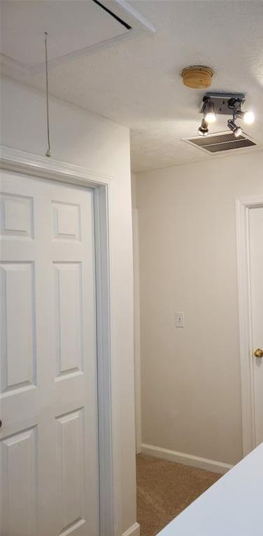 Photo #21