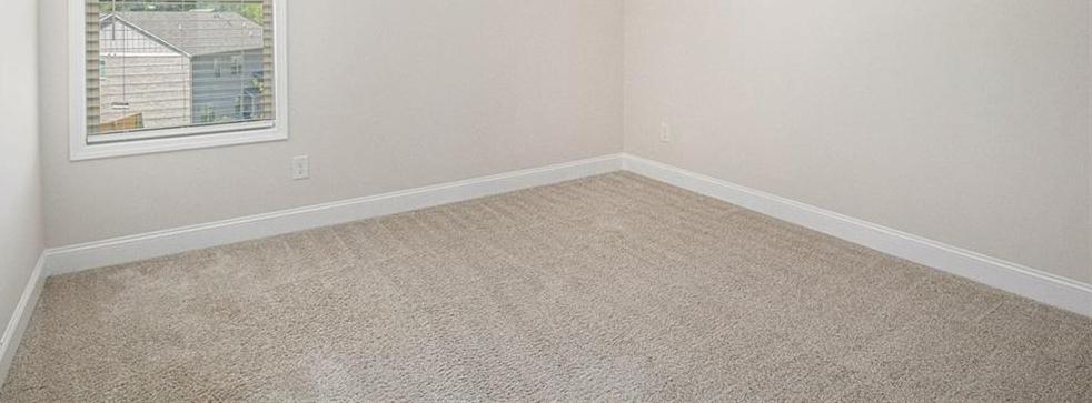 Photo #23