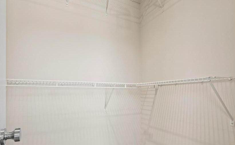 Photo #31
