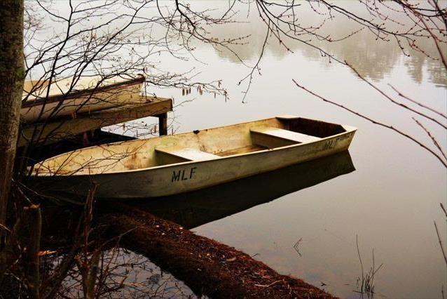 Photo #42