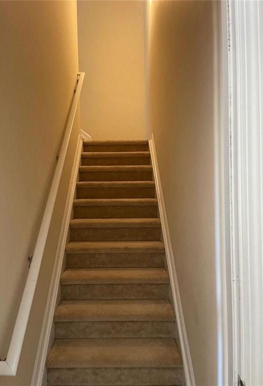 Photo #14