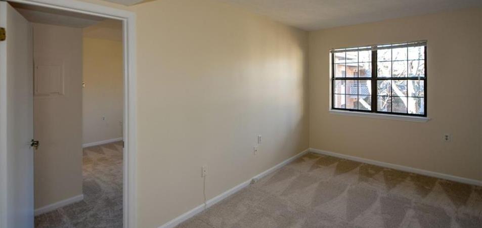 Photo #2