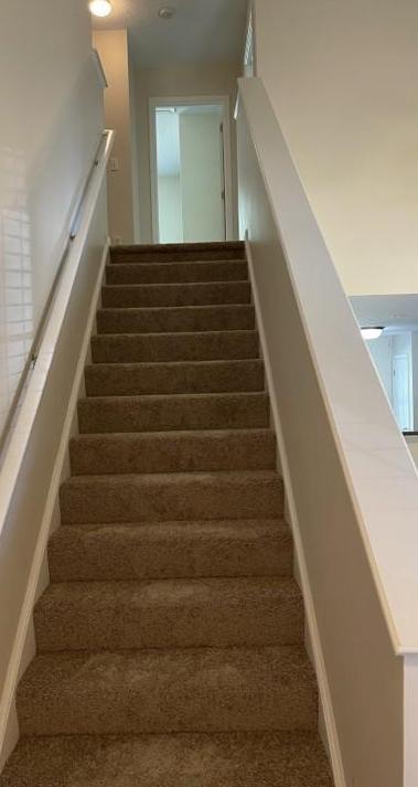 Photo #11