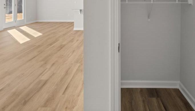 Photo #12