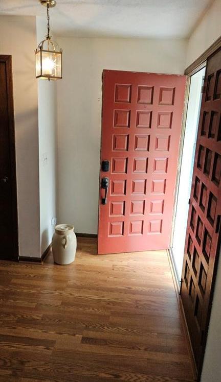 Photo #16