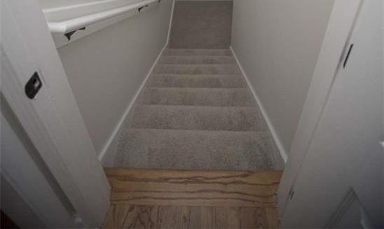 Photo #10