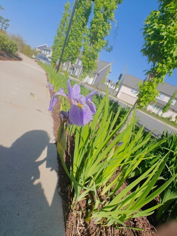 Photo #54