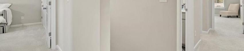 Photo #15