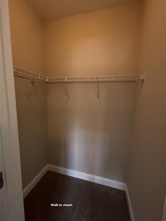 Photo #42