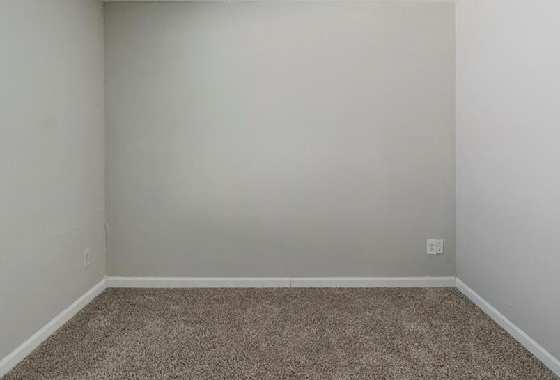 Photo #15
