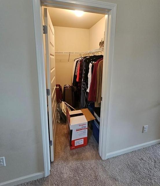 Photo #34
