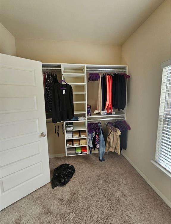 Photo #28