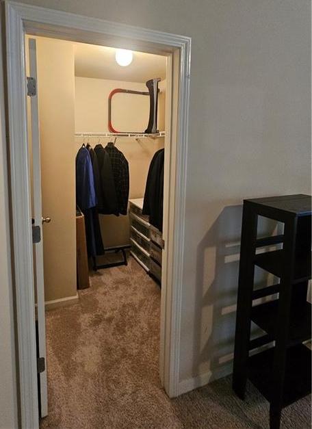 Photo #42