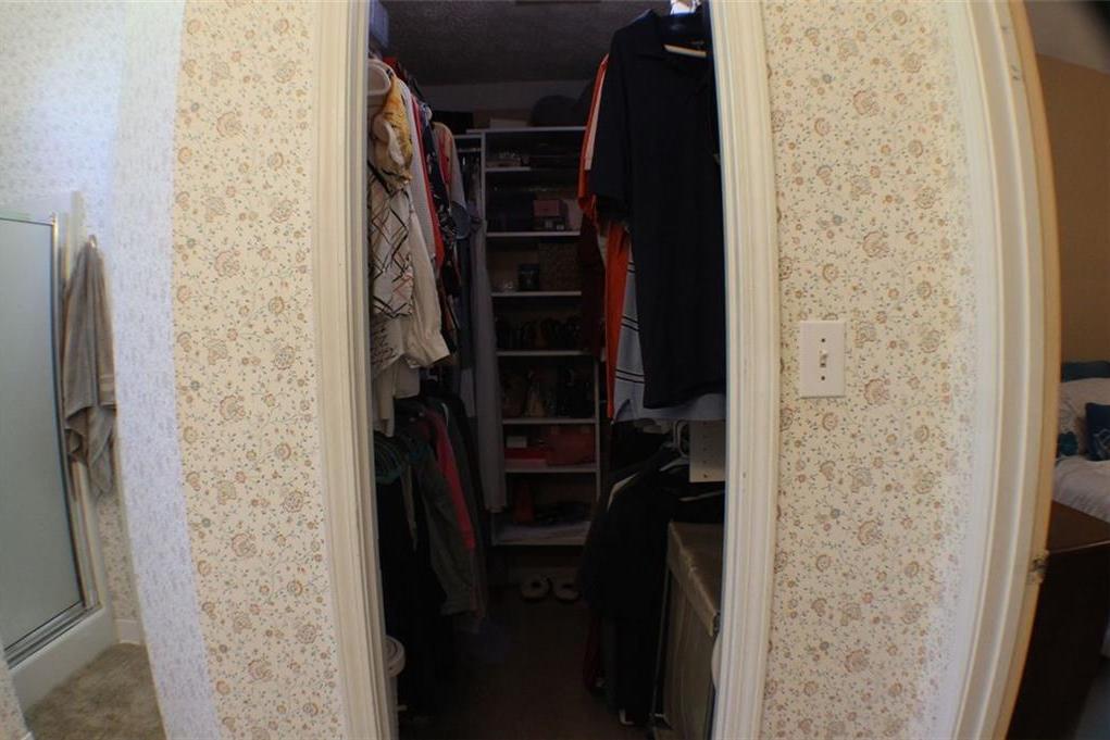 Photo #22