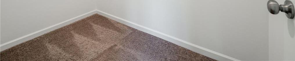 Photo #18