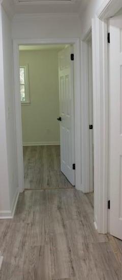 Photo #12