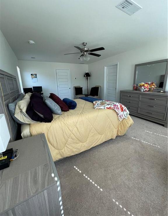 Photo #28