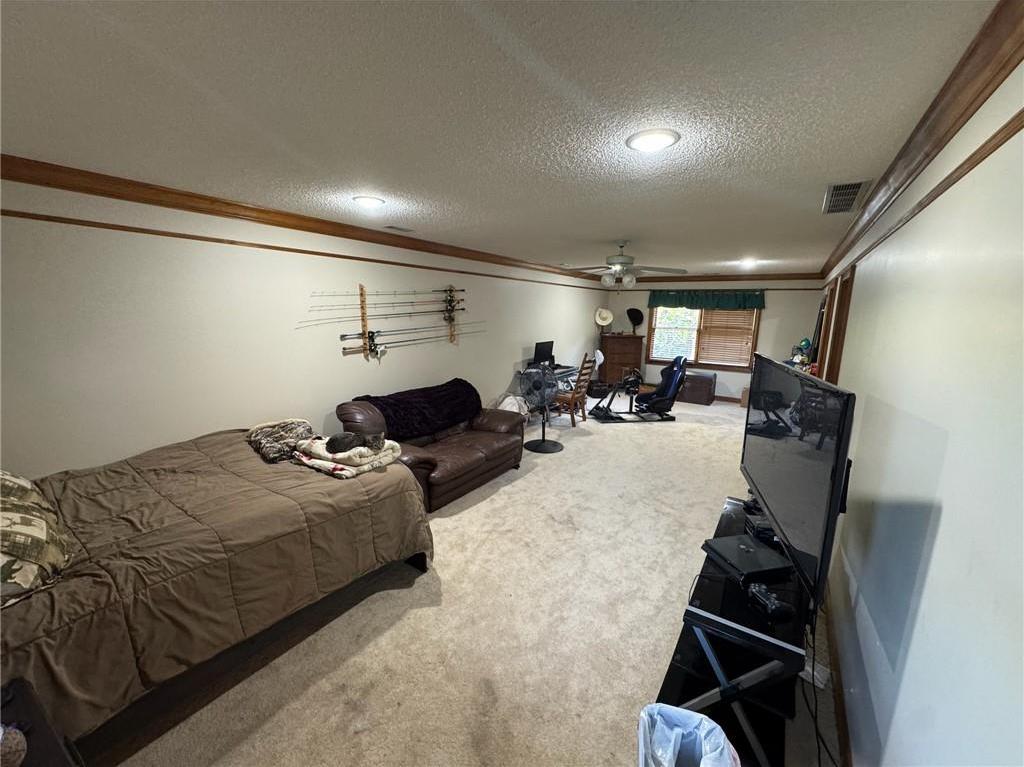 Photo #32