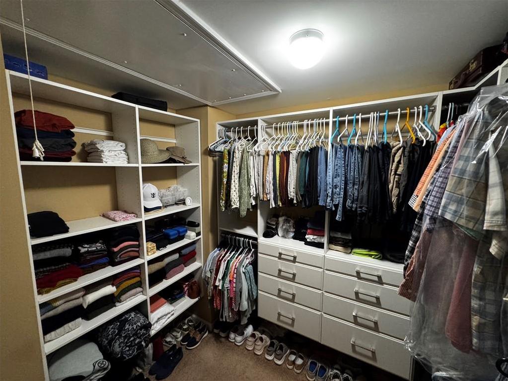 Photo #12