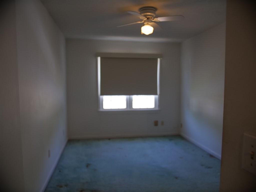 Photo #20