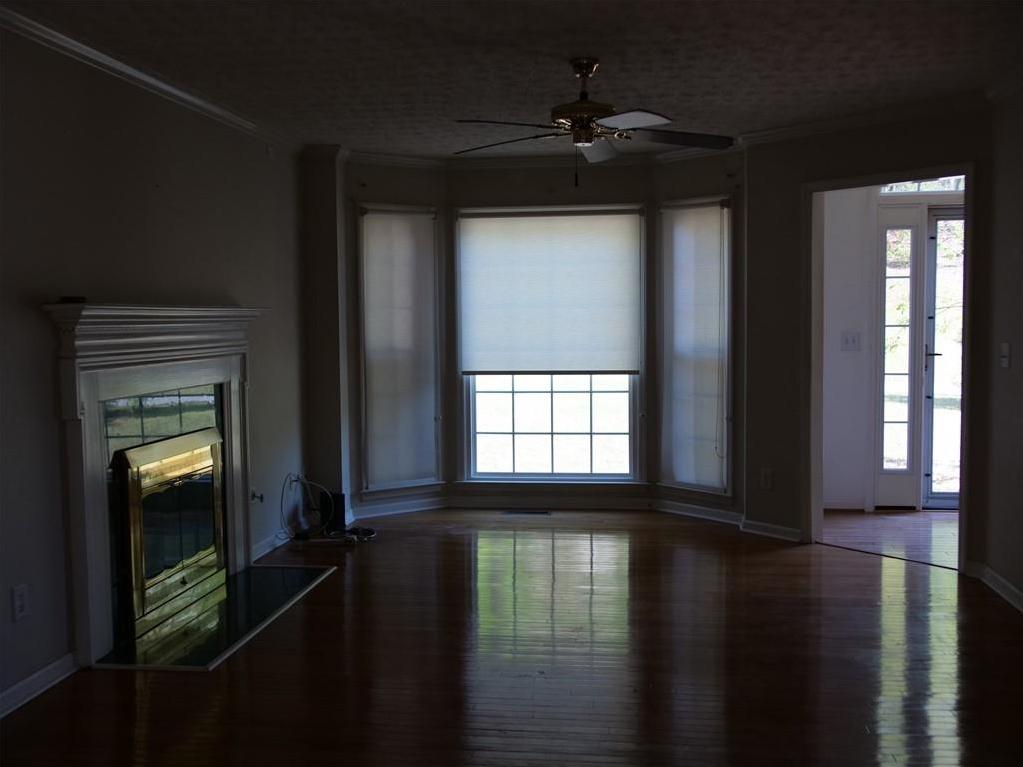 Photo #7