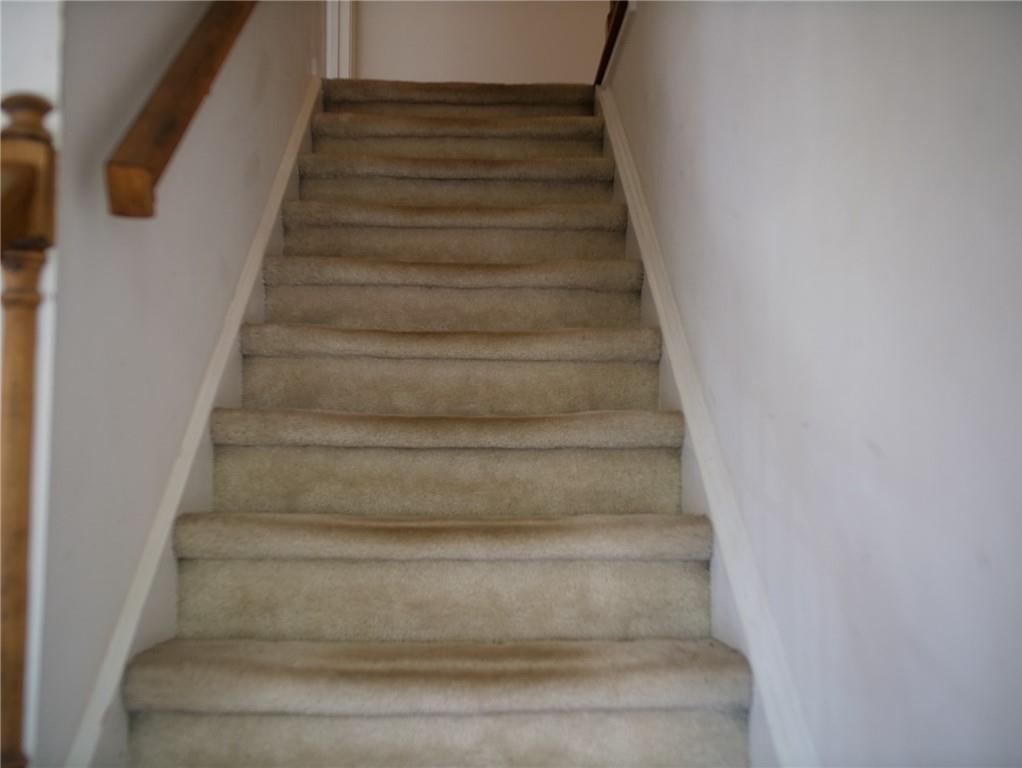 Photo #11