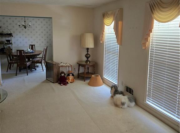 Photo #10