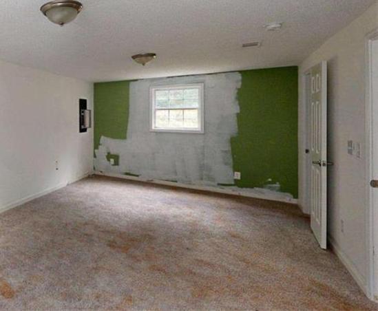 Photo #24