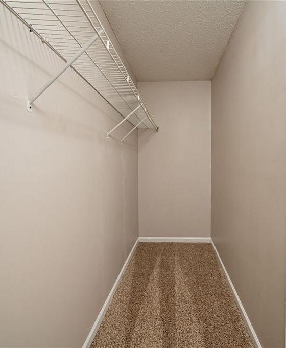 Photo #14