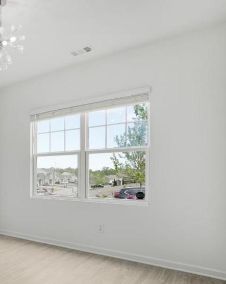 Photo #3