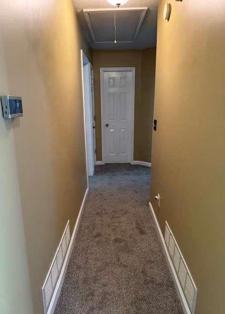 Photo #13