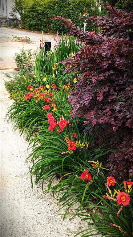 Photo #42