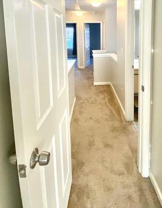 Photo #22