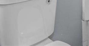 Photo #18