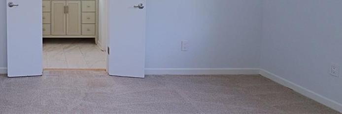 Photo #12