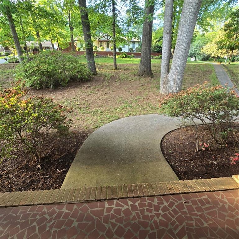 Photo #7