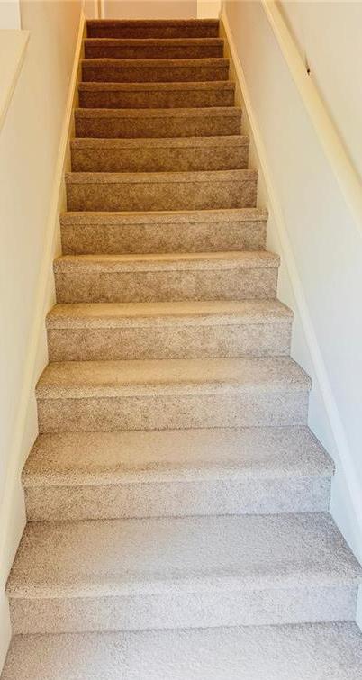Photo #15