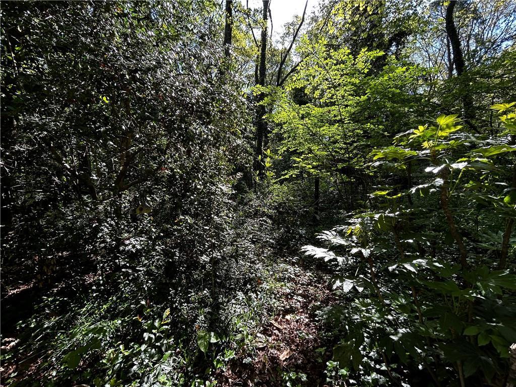 Photo #9
