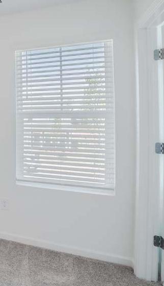 Photo #15