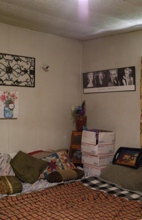 Photo #45