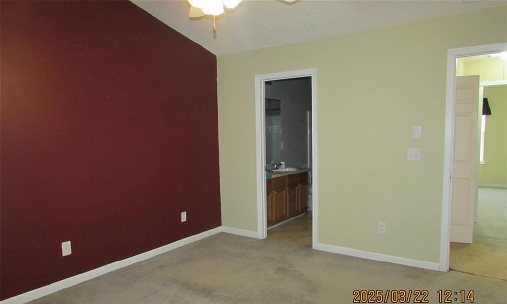 Photo #16