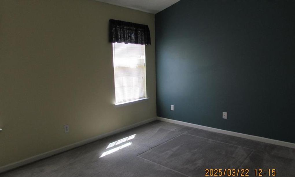 Photo #21