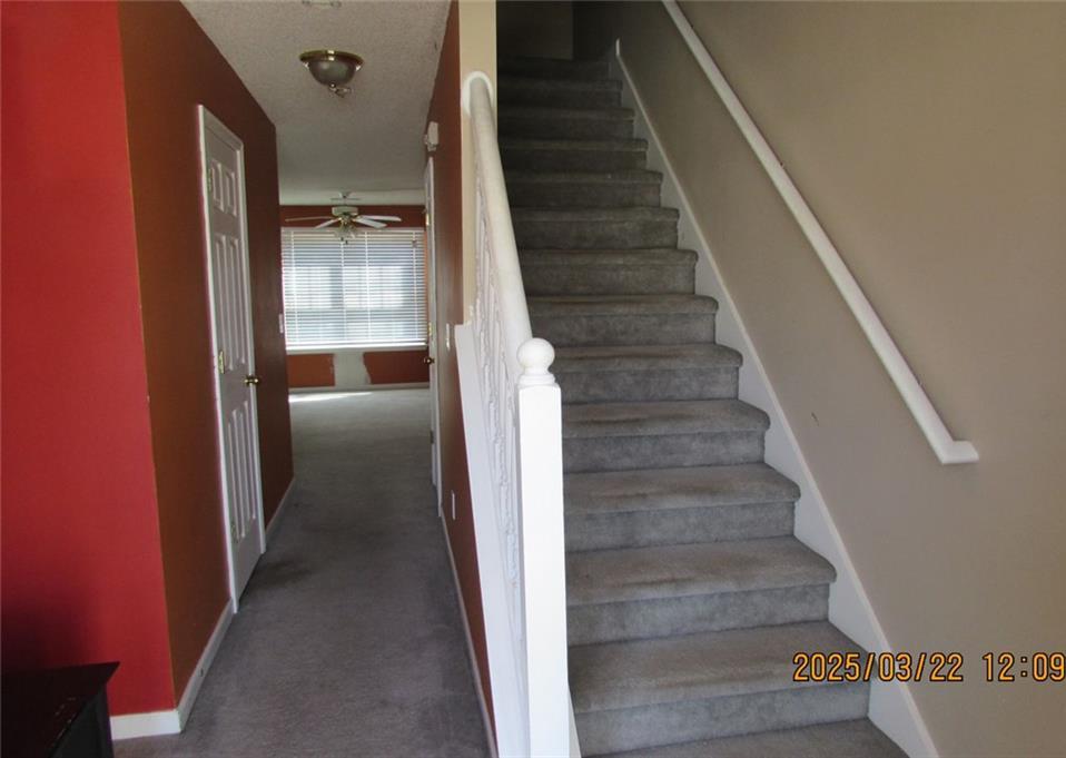 Photo #3