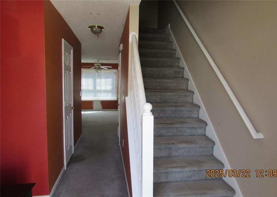 Photo #2