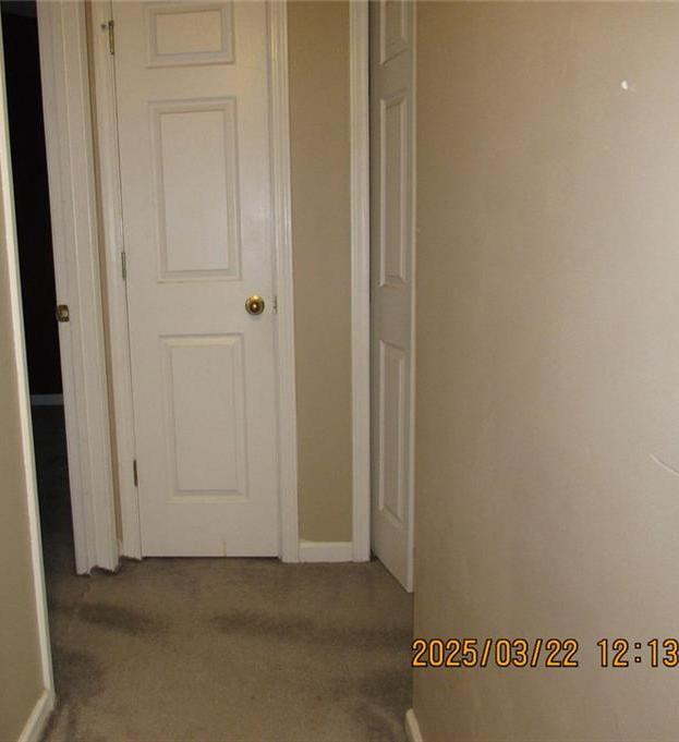 Photo #13