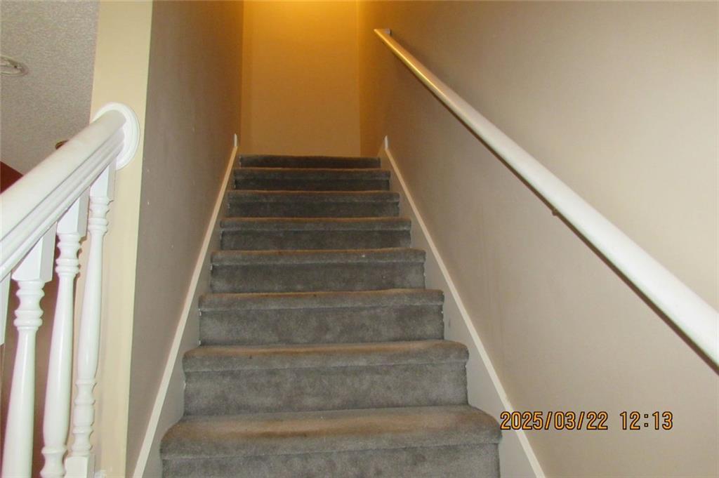 Photo #12