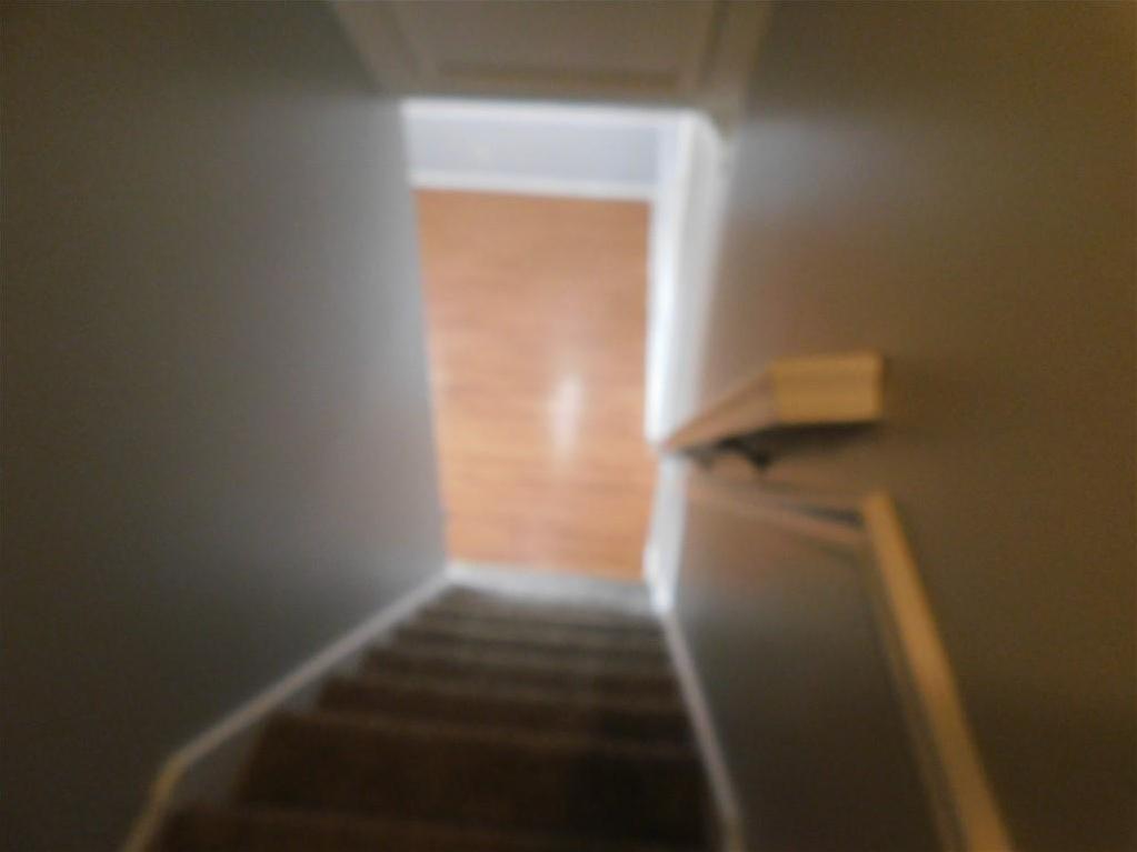 Photo #15