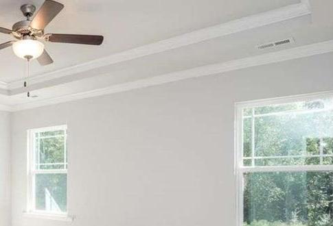 Photo #14