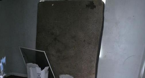 Photo #22