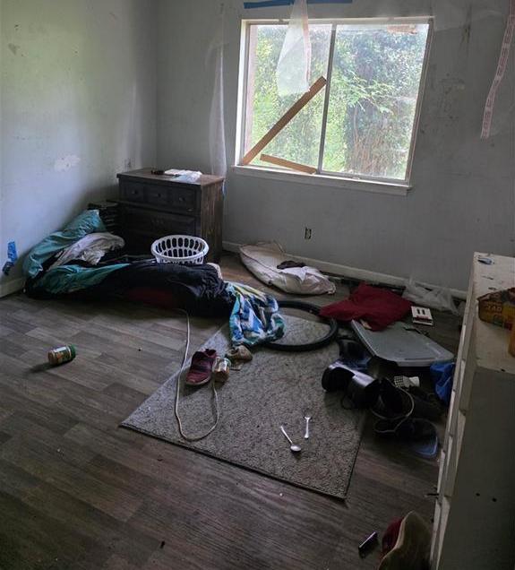Photo #24